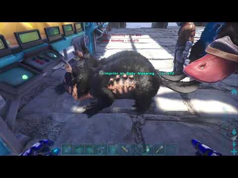 Maewing Mutations? Ark:Genesis Part 2 S1E50