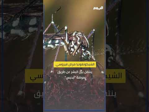 اكتشاف أول علاج لـ