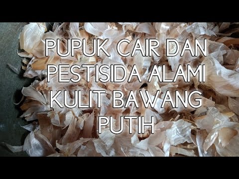 , title : 'PUPUK Dan PESTISIDA Alami Kulit Bawang Putih'