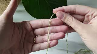 Punti base uncinetto e cerchio magico per principianti | Crochet start and magic ring for Beginners