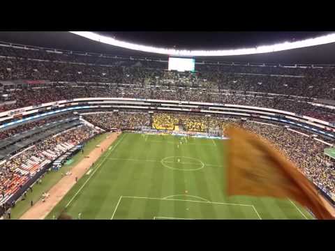 "Pumas de mi vida América vs Pumas 2015" Barra: La Rebel &bull; Club: Pumas