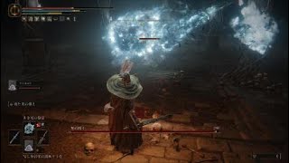 【エルデンリング】霧谷の地下墓地 死の騎士【死の騎士の双斧 緋琥珀のメダリオン＋３】