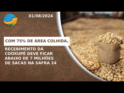 Com 75% de área colhida, recebimento da Cooxupé deve ficar abaixo de 7... - Notícias Agrícolas