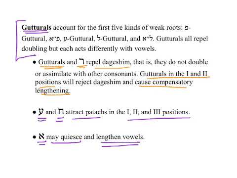 21 Weak Verb Overview HebrewDaybyDay