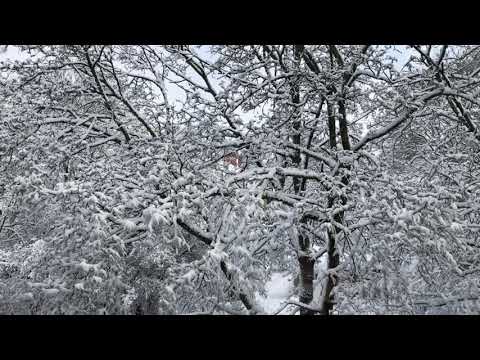 Galwaro x Behmer  Supernova (Remix 2019)