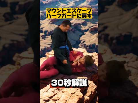 【マウントエスケープ→ハーフガード】#朝倉未来 #格闘技 #ブラジリアン柔術 #柔術 #柔道 #柔術コーチ #mma #rizin #筋トレ #ufc