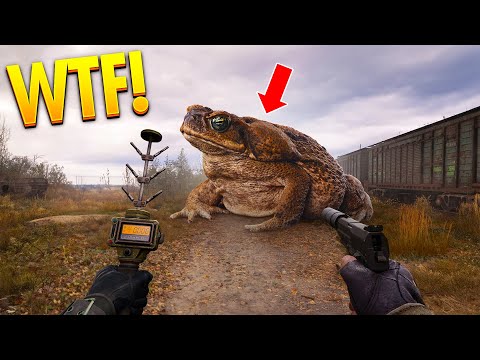 TOP 200 S.T.A.L.K.E.R. 2 WTF & Funny Moments!