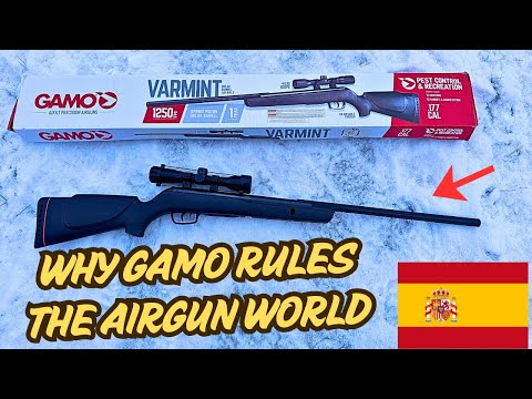 Gamo Varmint - Shooting Test & Review