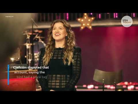 Kelly Clarkson slams Art of Play store over alleged shopping snub