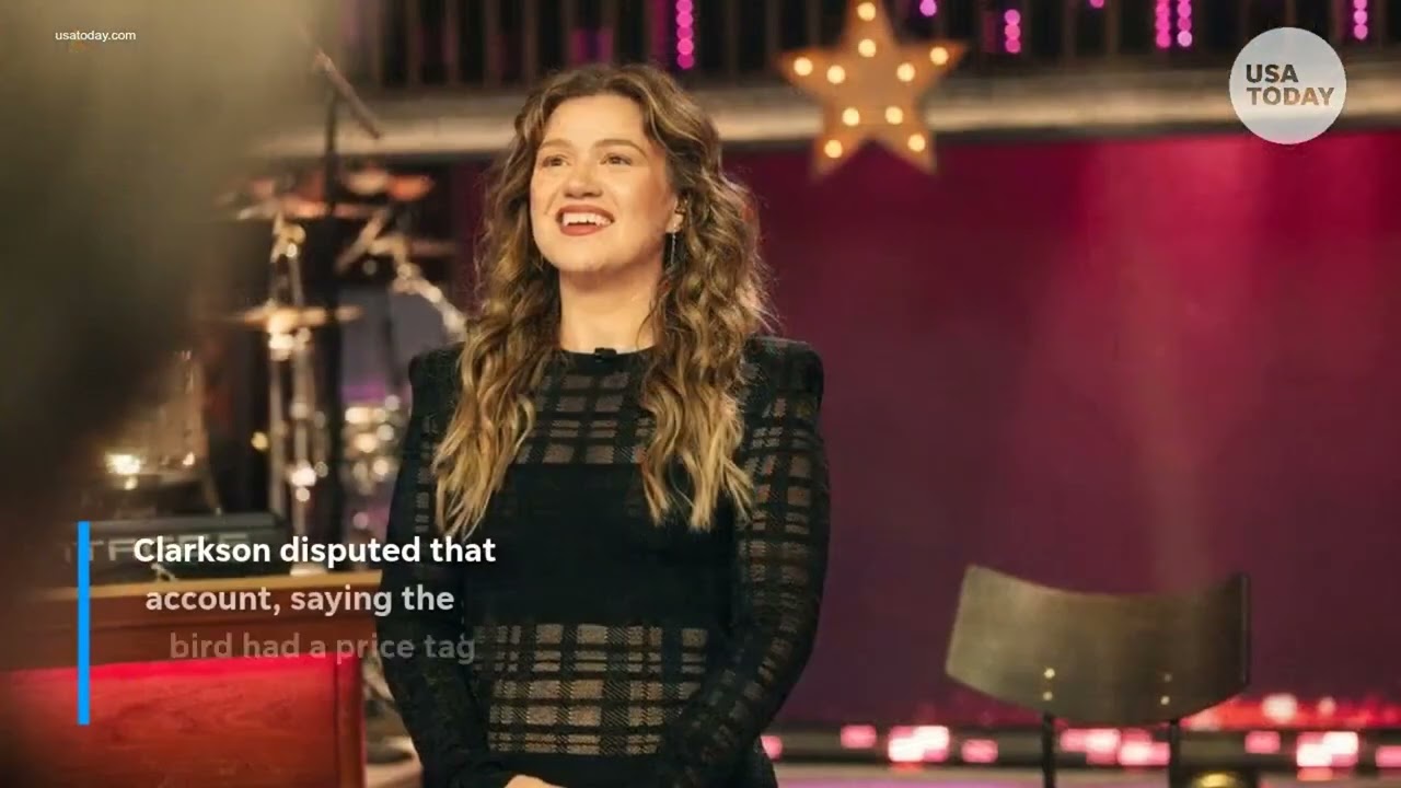 Kelly Clarkson slams Art of Play store over alleged shopping snub