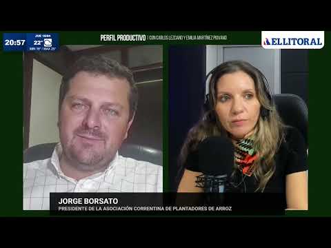 Crisis arrocera: plantean diversificación para sostener la actividad en Corrientes