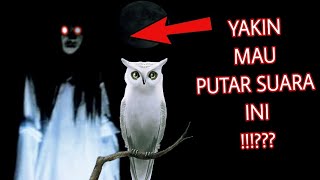Download lagu Suara Kuntilanak Dan Burung Hantu Di Malam Hari !!! Kalau Takut Jangan Diputar !!! mp3