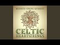 The Foggy Dew - Midnite String Quartet - Topic The Foggy Dew