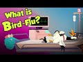What Causes Bird Flu? | BIRDFLU Pandemic | Virus | Dr Binocs Show | Peekaboo Kidz