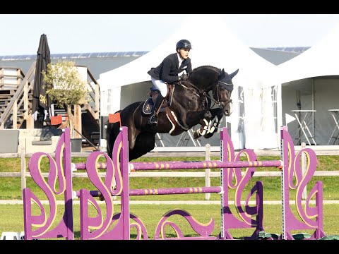 Baloutaire PS - Stallion Collection Schockemoehle 2021 ENG