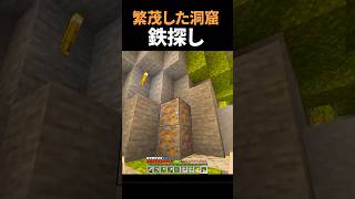 繁茂した洞窟探索で鉄探し