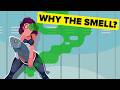 Why Do Vaginas Get A Smell