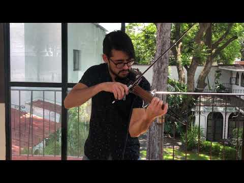 Unboxing Coda Bow-Chroma Joule