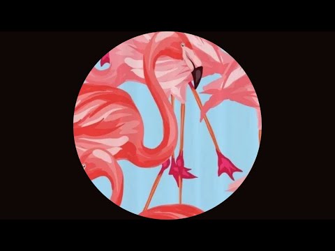 Marcu Rares - Flamingo Around