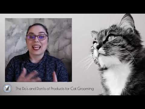 The Do's and Don'ts on Products for Grooming Cats