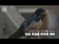 Clip 1