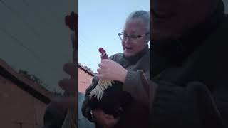 Il faut lever la patte a mon âge #campagne #maman #potager #animaux