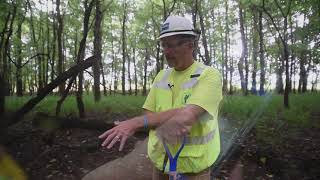 Wetland Studies - Sept. 2018