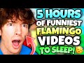 5 HOURS OF FUNNIEST FLAMINGO TO FALL ASLEEP MARATHON ROBLOX