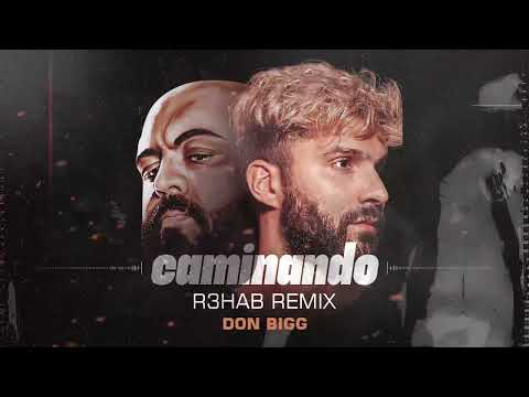Don Bigg - Caminando (R3HAB Remix) (Official Visualizer)