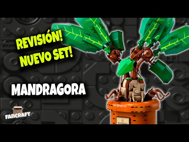 Vídeo relacionado con LEGO Harry Potter Castillo de Hogwarts: Clase de Herbología - Minifiguras de Neville Longbottom, Hermione Granger y Prof. Sprout - 3 Mandrágoras de Juguete - Regalo para Niñas y Niños de 8+ Años 76445