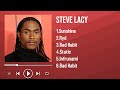 Best Songs Of 2025 By Steve Lacy The Playlist No Fan Should Miss