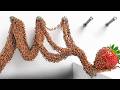 1 000 Ants Vs Challenges