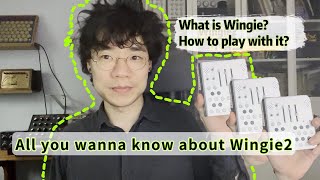 Video thumbnail for All you wanna know about Wingie2 by 合成少数派 Synthesis Minority