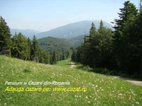 Cazare Alesd, Bihor - Cazat.ro