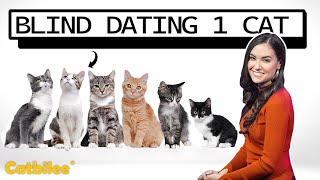 Denied By Blind Date At Cat Cafe Mp4 3GP & Mp3
