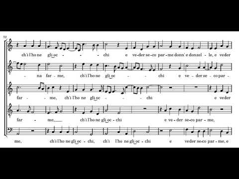 Cipriano de Rore: Per mezz'i boschi - Blue Heron