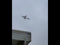 Seagull rides another seagull