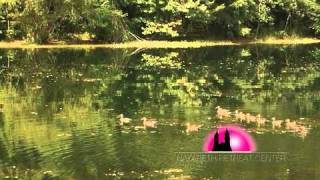 Nazareth Retreat Center