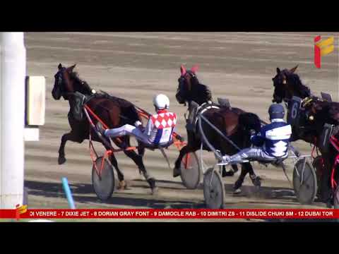 VI Corsa del 26 aprile 2023 - 4 Anni - Metri 1600