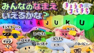 きょうのコバきち みんなの名前いえるかな？ WITH HARAJUKU