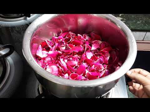 घर पर गुलाब जल बनाने का सबसे आसान तरीका |D I Y rose water | how to make rose water at home simply| Video