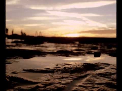 Milan Lieskovsky - Nyari (Vocals by Nicol Cache)