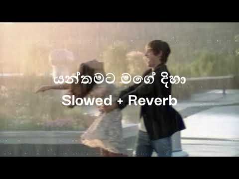 yanthamata mage diha (යන්තමට මගේ දිහා) | (Chathuka Maduranga) | ( Sinhala Song = Slowed + Reverb ).!