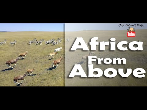 Africa from Above 4K - A birds-eye view African animals in the Free State, South Africa