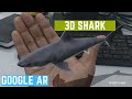 How to see 3D Shark AR in Google Search How to see 3D Shark AR in Google Search