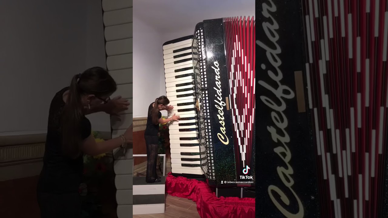 Promotional video thumbnail 14 for Rebecca Jane Accordion/Keyboard/Pianist