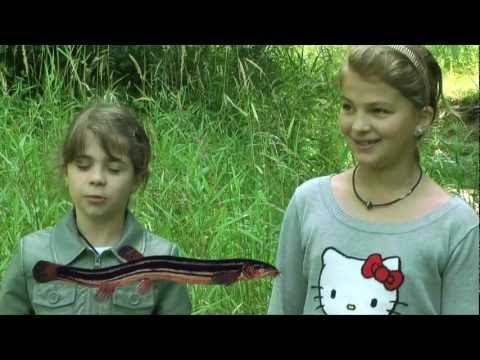 Wir erklären euch Life - Der Schlammpeitzger