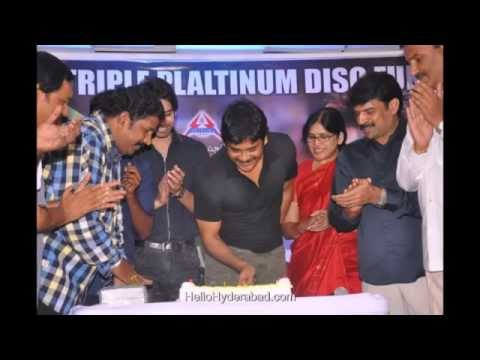 Nagarjuna Birthday Celebrations