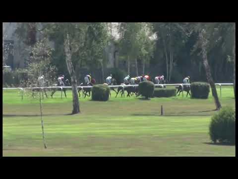 KV, 18. 8. 2019, 2. dostih - Cena CENTRA REHABILITACE KONÍ