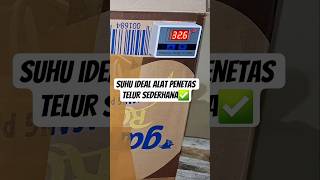 Download lagu Cara setting suhu yang ideal untuk alat penetas telur sederhana | Thermostat mp3